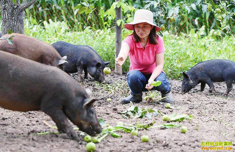 ���ֳ�����������ֳ��ˮ���������������족