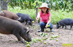 ���ֳ�����������ֳ��ˮ���������������족