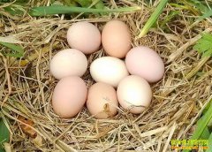 ����®�������ٴ����������������¸����𵰵���