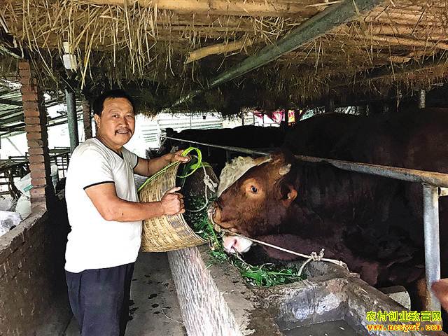 ����ᶼ����������ţ����20��Ԫ��ţ�ϰ�