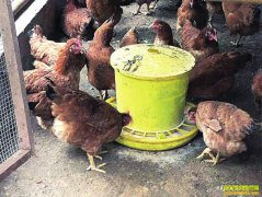 �Ĵ��Ű��˴�������������������̬��ֳ�¸�