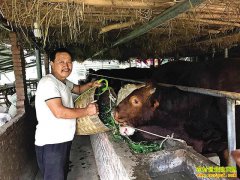 ����ᶼ����������ţ����20��Ԫ��ţ�ϰ�