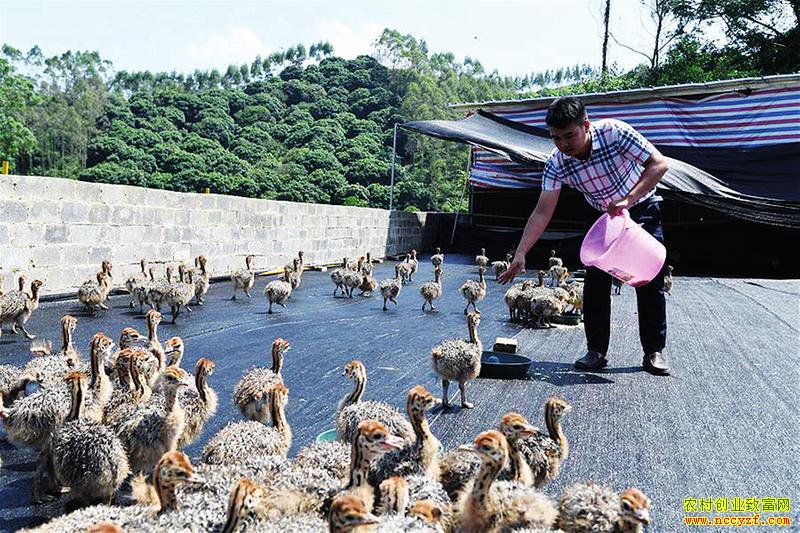 �������֣�������ֳ�߳���ƶ�¸�����·