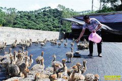 �������֣�������ֳ�߳���ƶ�¸�����·