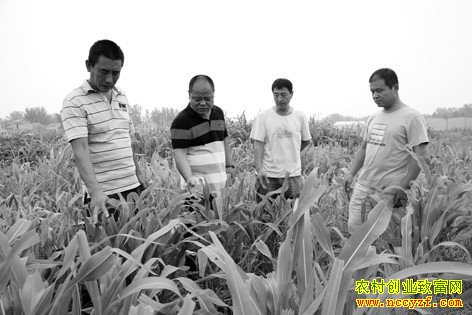 ɽ����̨�����������������ÿ������1��Ԫ����