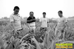 ɽ����̨�����������������ÿ������1��Ԫ����