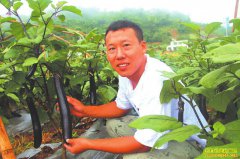 �Ĵ������������紴ҵ��ֲ��������Ķ��8000Ԫ