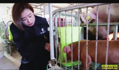 ������������Ů�����ġ������������¸���