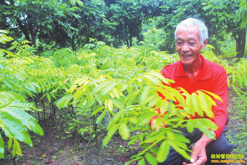 �Ĵ����ݿ����¹�Բ����������ʡ��������