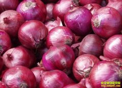 ��м۸�����Ϻ� ���������׬Ǯ��