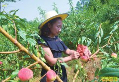 �Ĵ����������������紴ҵ��������