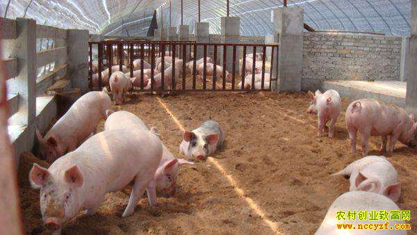 ���Һ��������ˣ�������̬������ֵ��ѧϰ