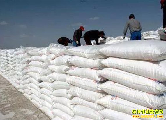 ��������۸�ƽ��Ϊ�� ũ�����������򲻱ضڻ�