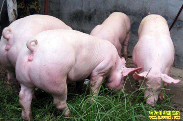 ����������������߲���500��Ԫ������Ӳ��ʩ�ȡ����� ��ʦ�֣���ס��