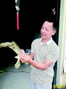 �㽭��������ƽ��紴ҵ��ֳ�������ֵ700����Ԫ