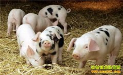 ������������ƽ���ӡ���˾����¸���ͷ��