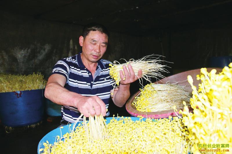 �Ĵ�������������ֲ��ѿ�����¸�