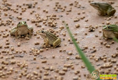 [�¸���]�����ƽ��߸�90���ѧ���������¸���