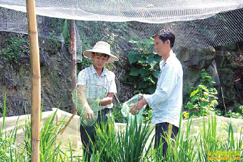 �󲨣����ڻ�����������