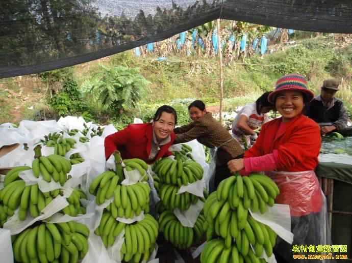 ���Ϻ��ڴ�ѧ����ͥ��ֱ�����㽶������������