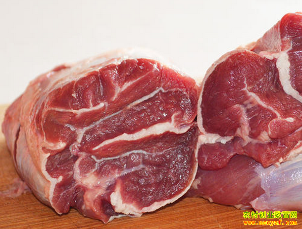 9��22�ձ����·����г�ţ�⼰ţ��Ʒ�۸�����