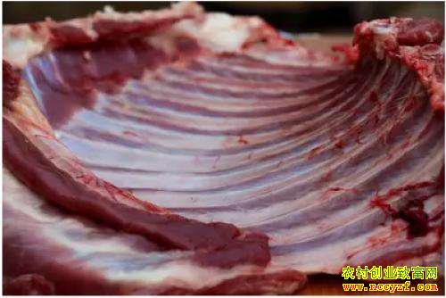 9��23�ձ����·����г�����۸�����