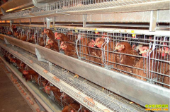 ��������׬Ǯ�ࣿ����������������������¸���