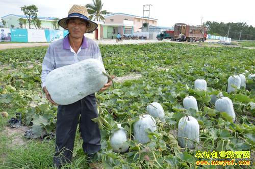 �������ݣ���ֲ�󶬹ϳ�ũ���¸��ϡ�