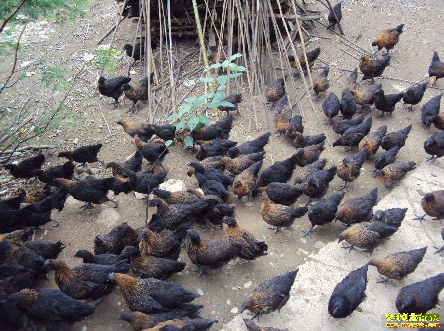 �����ֳ�¸����㶮���������⣬����������·