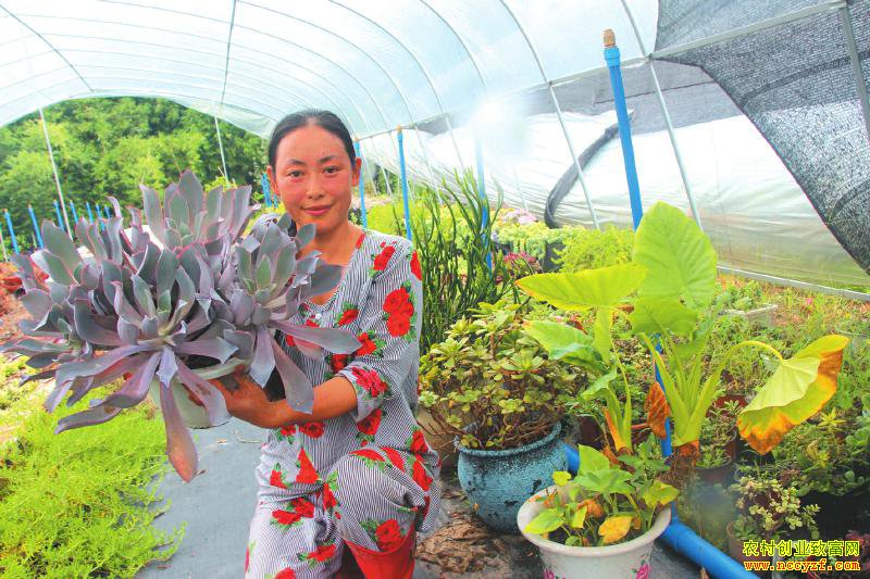 Ҧ���������������軨