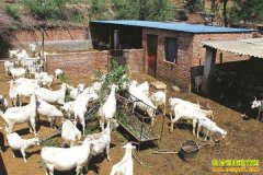 ����������������������ƶ�¸�