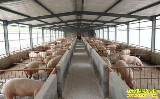 100ͷĸ�������������ᵽ����Ҫ������λ��