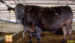 [ÿ��ũ��]�����������أ���ţ�¸��취��