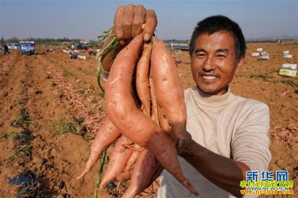 �ӱ�¬��������״Ԫ������ϲ�ֺ��������ٳ���ԣ·