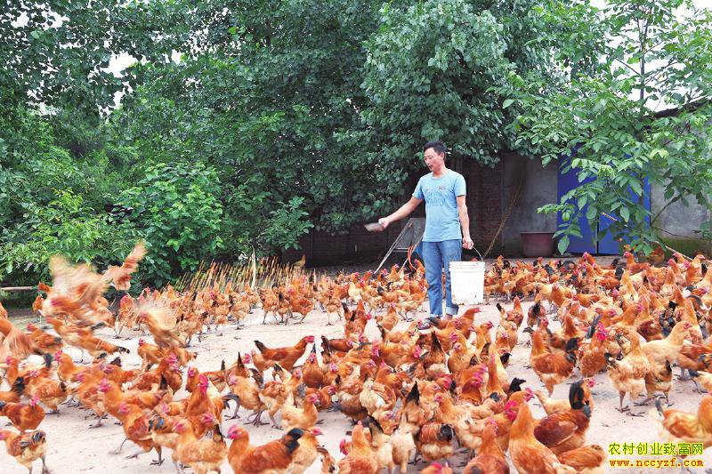 �Ĵ��ϳ������������� ��ɽ��ɻ���ɽ