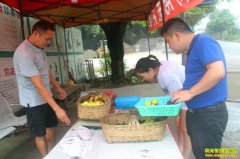 �Ĵ������������ֲ�޻���Ķ����Ԫ