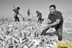 ɽ����̨��ѧ���������ʳ�������200��Ԫ����