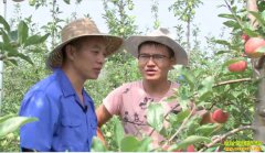 [�¸���]ɽ����Դ��ΰ��ֲ����ƻ�� һ���ۼ�10Ԫ