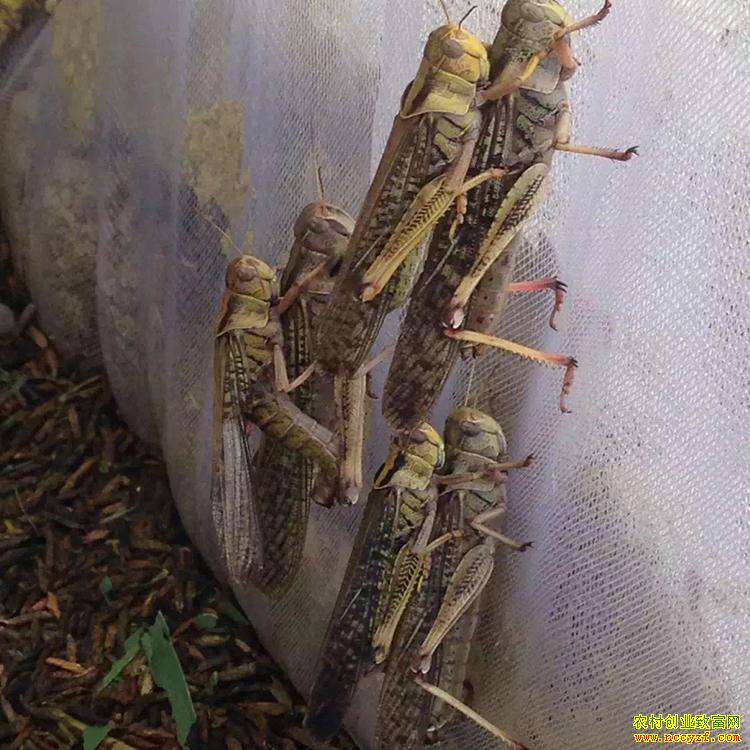 ���ݻ�ƽ��Ԭ�𻪴����������߳���ƶ�¸�·