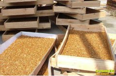 �������ŷ��´壺��ֳ����� �����¸�·