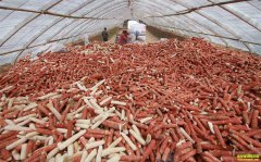 ũ��Ʒ�����ϡ�Ҳ��׬��Ǯ