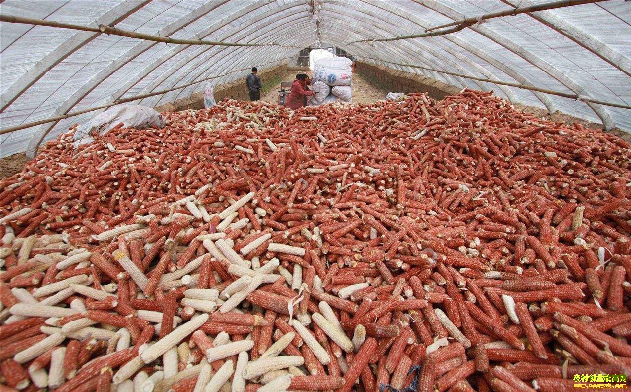 ũ��Ʒ�����ϡ�Ҳ��׬��Ǯ