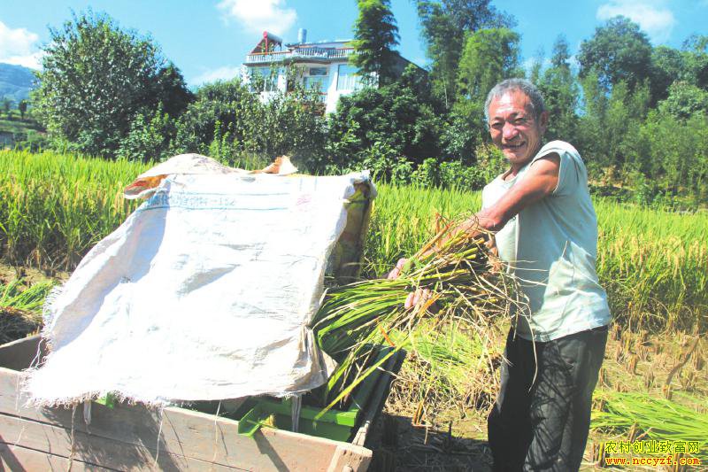 �Ĵ�����������˵�����ÿĶ����1.2��Ԫ