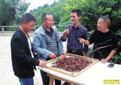 �Ĵ���������ɫ��ֳ�̾���ɫ�¸�·