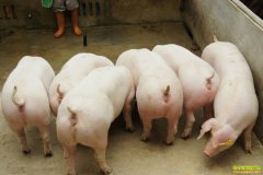 10��30�������µ������������ϵ���������������