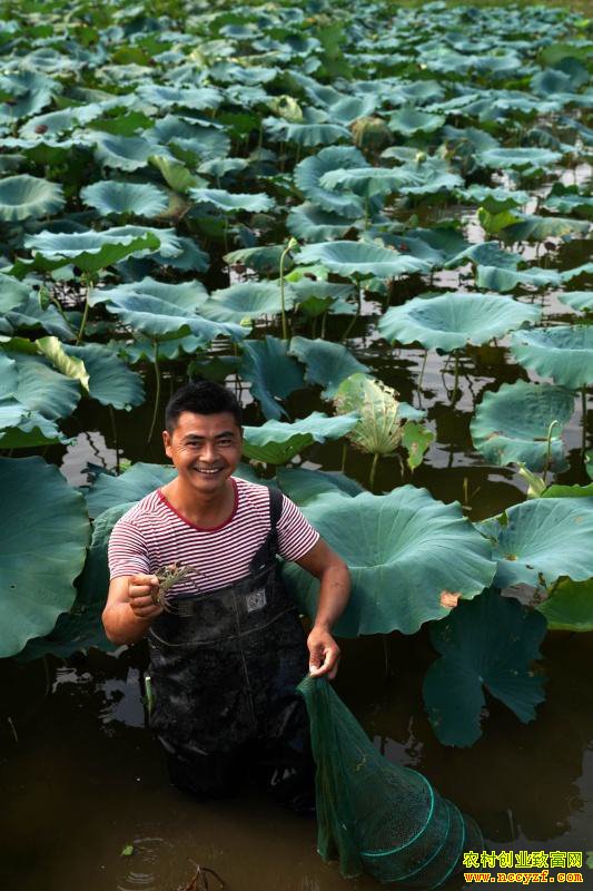 ����������سɺ������зÿĶ����һ���