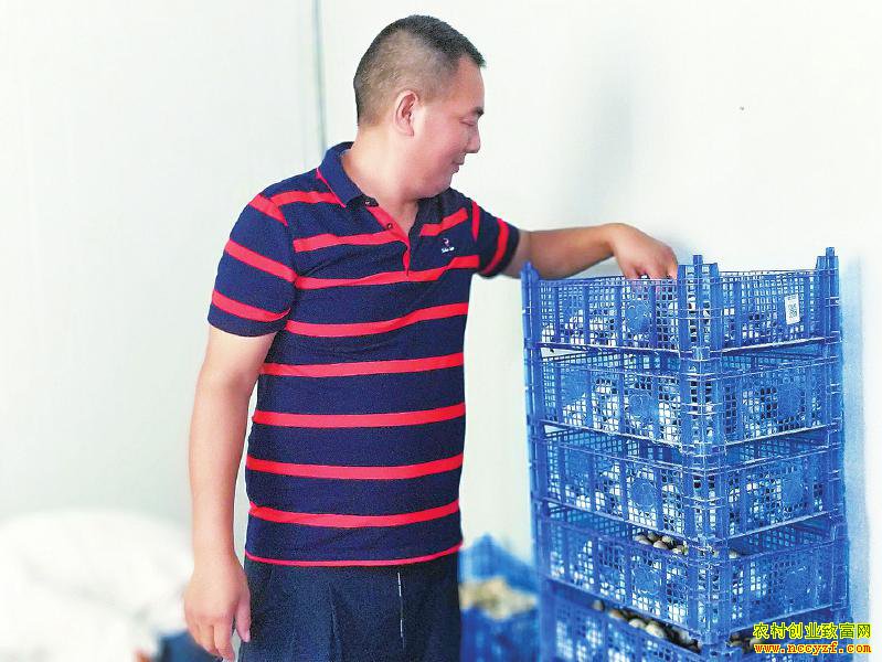 �Ĵ�����רҵ�������ֲݹ����������г�