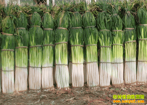 ��м۸���ն����ֲ��ÿĶ�����ǧԪ��