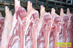 ����������Ǯһ�11��11��ȫ����������۸�����