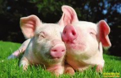 ������С��������ֳ��������ֳ��Ҫ��һ�£�